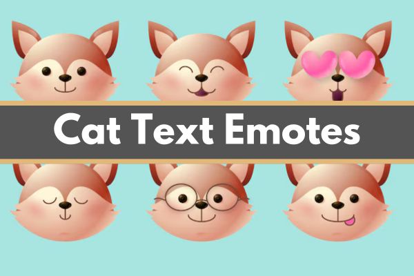 Cat Text Emotes Image